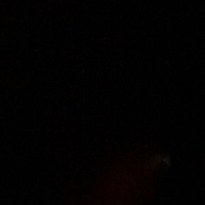 Meet your Posher, Philip